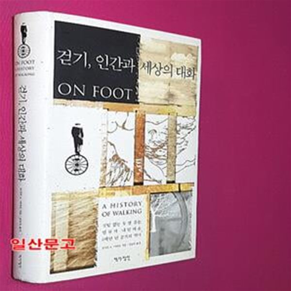 걷기 인간과 세상의 대화 (깃털 없는 두 발 짐승, 인류가 내딛어온 6백만 년 걷기의 역사)