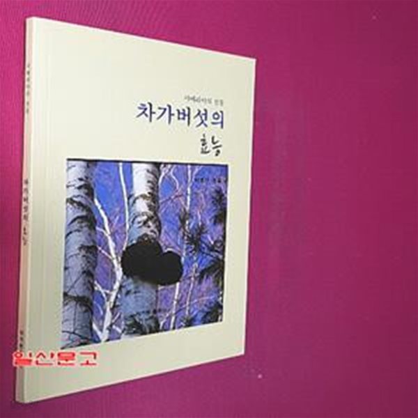 차가버섯의 효능