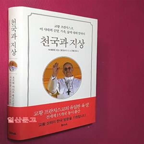 천국과 지상 (교황 프란치스코, 이 시대의 신앙, 가족, 삶에 대해 말하다)