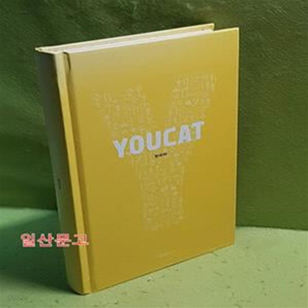 YOUCAT (가톨릭 청년 교리서)