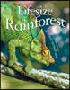 Lifesize Rainforest