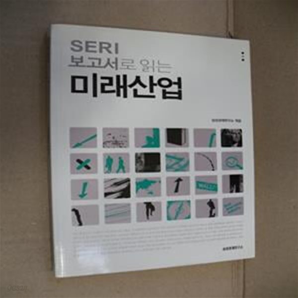 미래산업 (SERI 보고서로 읽는)