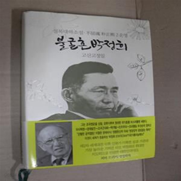 불굴혼 박정희 2 (실록대하소설, 운명)(양장)