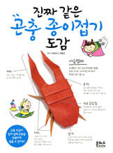진짜 같은 곤충 종이접기 도감