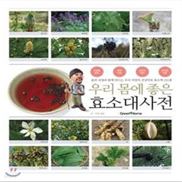 우리 몸에 좋은 효소대사전 (솔뫼 선생과 함께 만드는 우리 자연의 건강약초 효소액 250종)