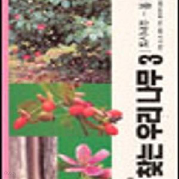 쉽게 찾는 우리 나무 3 (도시나무-봄)