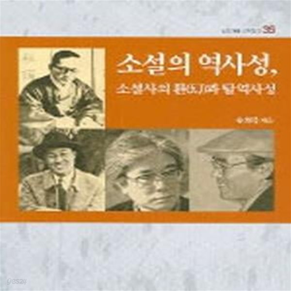 소설의 역사성, 소설사의 환과 탈역사성 (청동거울 문화점검 35)