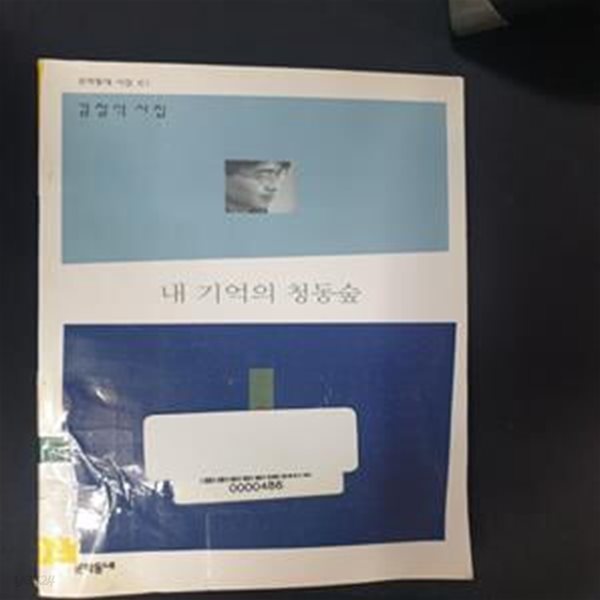 내 기억의 청동숲 (문학동네시집 51)