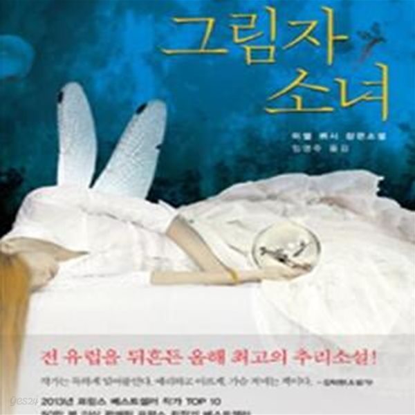 그림자 소녀 (미셸 뷔시 장편소설)