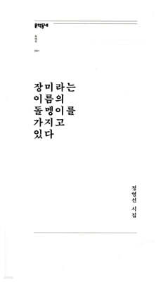 장미라는 이름의 돌멩이를 가지고 있다