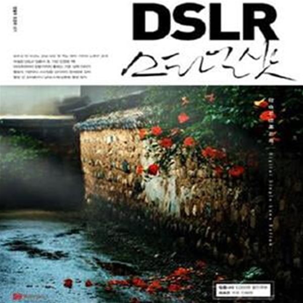 DSLR 스타일 샷 (감성사진 레시피)