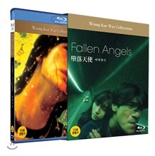 타락천사 : 블루레이