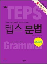 텝스 문법 고난도편