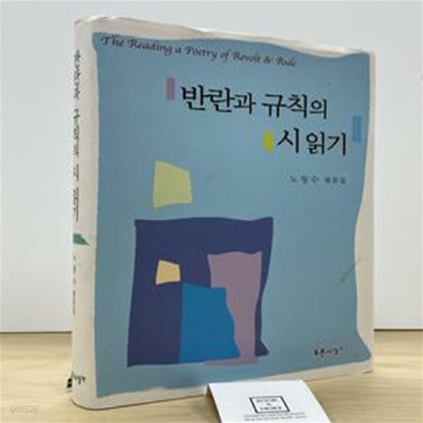 반란과 규칙의 시 읽기 (노창수 평론집)