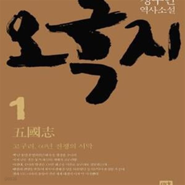 오국지 1 (고구려 60년 전쟁의 서막, 정수인 역사소설)