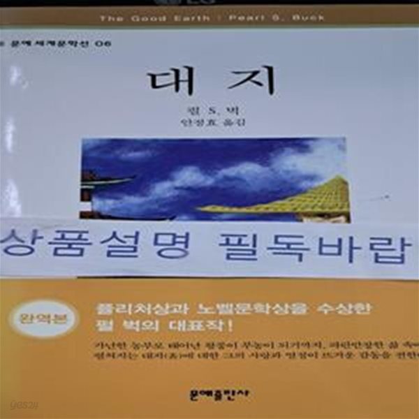 대지 (The Good Earth,문예세계문학선 6)