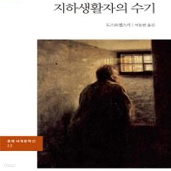 지하생활자의 수기 (문예 세계문학선 22)