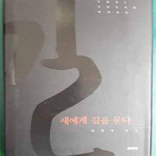 새에게 길을 묻다 - 최영옥 시집