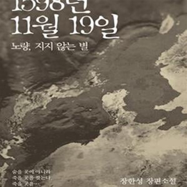 1598년 11월 19일 (노량, 지지 않는 별, 장한성 장편소설)