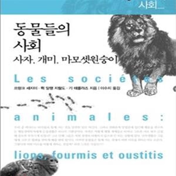 동물들의 사회 (사자, 개미, 마모셋원숭이)