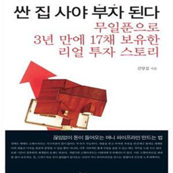 싼 집 사야 부자 된다 (무일푼으로 3년 만에 17채 보유한 리얼 투자스토리)