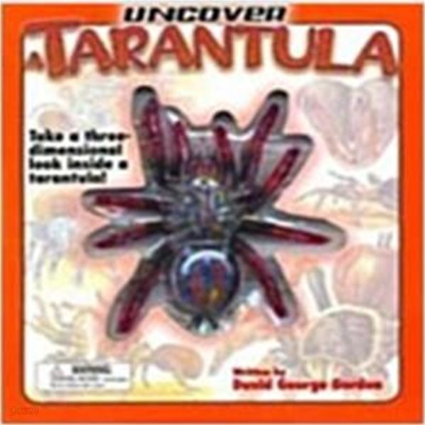 Uncover A Tarantula (Board Book)