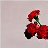 John Legend - Love In The Future (Standard Version)
