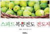 스피드 복음전도 전도지
