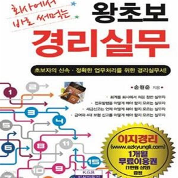 왕초보 경리실무 (회사에서 바로 써 먹는,초보자의 신속,정확한 업무처리를 위한 경리실무서!)