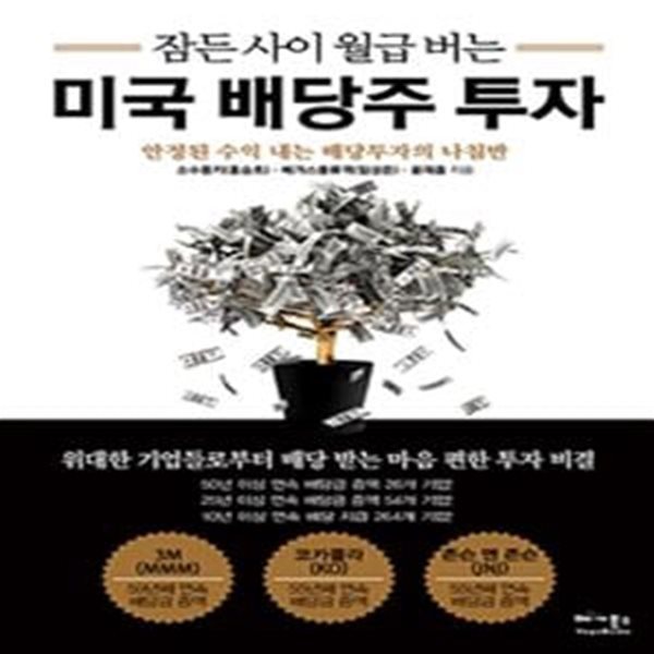 잠든 사이 월급 버는 미국 배당주 투자 (안정된 수익 내는 배당투자의 나침반)