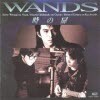 [중고] WANDS - 時の扉 (수입/toct7025)