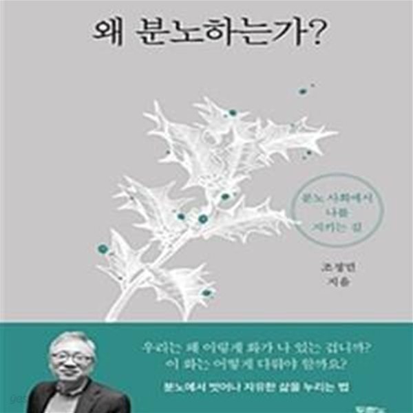 왜 분노하는가? (분노 사회에서 나를 지키는 길)