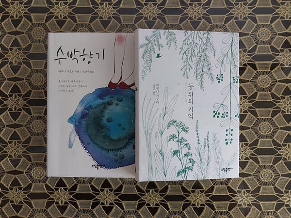 등 뒤의 기억 + 수박 향기 