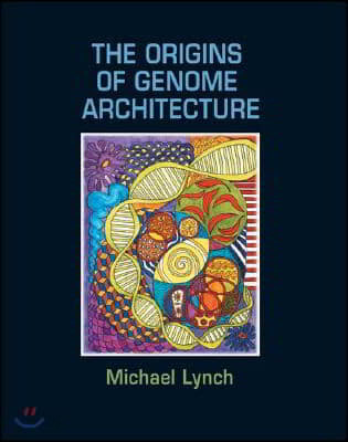 The Origins of Genome Architecture