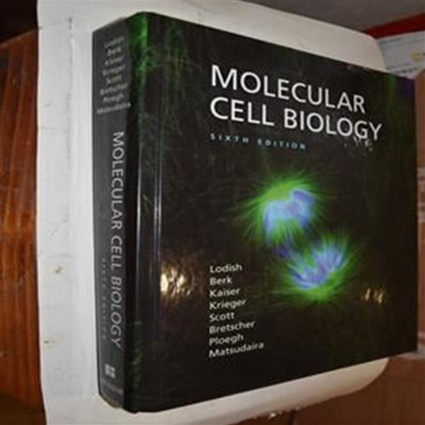 Molecular Cell Biology