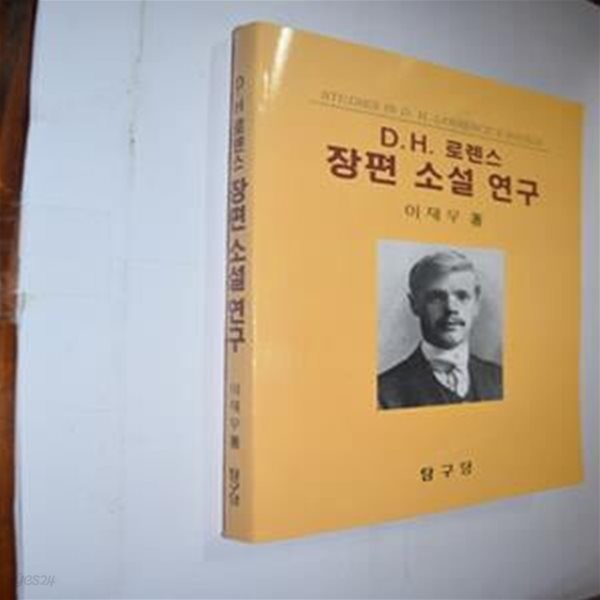 D.H.로렌스 장편소설연구