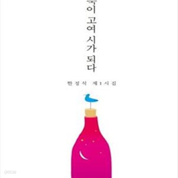 침묵이 고여 시가 되다 (한정석 제1시집)