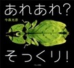 あれあれ?そっくり!