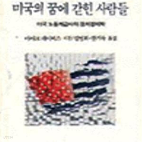 미국의 꿈에 갇힌 사람들 (창비신서 129)