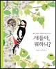 새들아, 뭐하니?