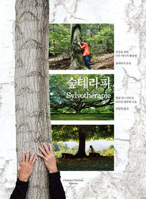 숲테라피 : 건강을 위한 나무 에너지 활용법