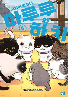 고양이 파트너 마루루와 하치 5
