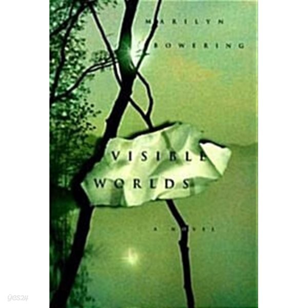 Visible Worlds (Hardcover, Deckle Edge) - A Novel 