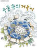 우물 속의 거북이