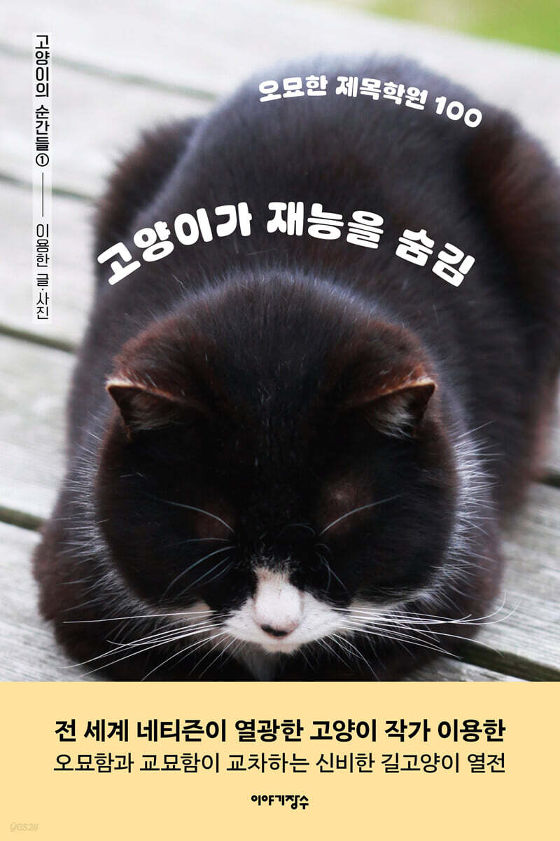 고양이가 재능을 숨김