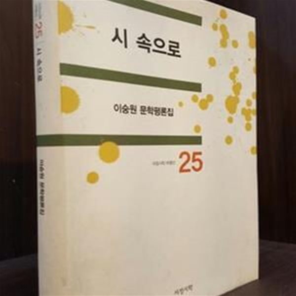 시 속으로  -이숭원 문학평론집 (서정시학 비평선25) 