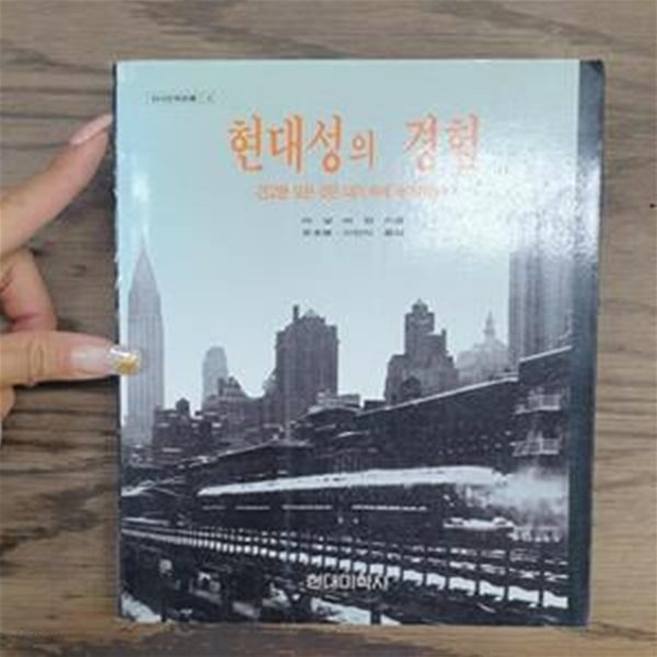 현대성의 경험 (현대문화론선 3)