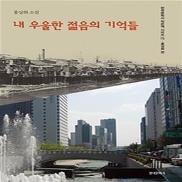 내 우울한 젊음의 기억들 (홍상화 소설)