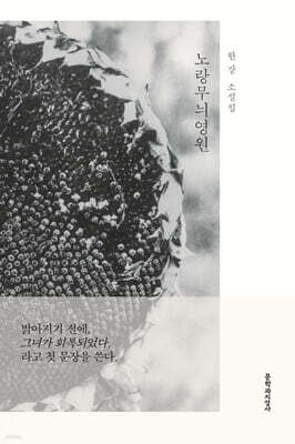 노랑무늬영원 (큰글자도서)