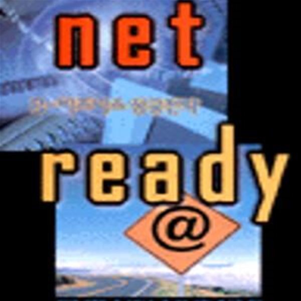 NET READY (넷 레디, e-비즈니스 성공전략)